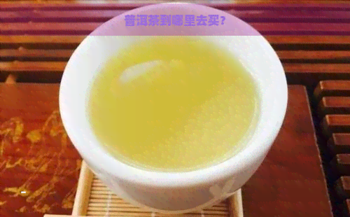 普洱茶到哪里去买？