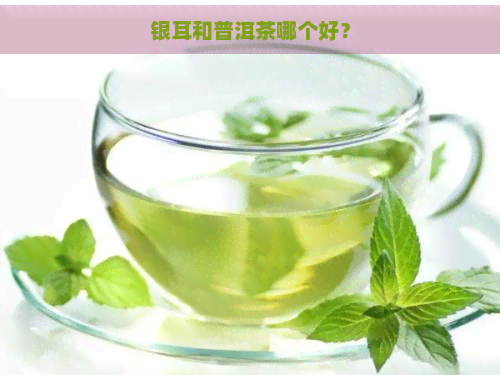 银耳和普洱茶哪个好？