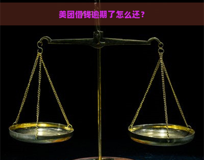 美团借钱逾期了怎么还？