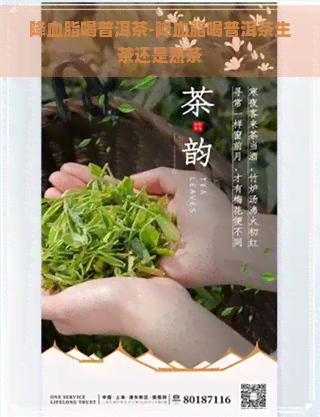 降血脂喝普洱茶-降血脂喝普洱茶生茶还是熟茶