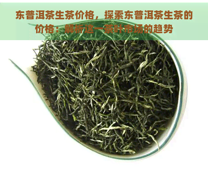 东普洱茶生茶价格，探索东普洱茶生茶的价格：解析这一茶叶市场的趋势