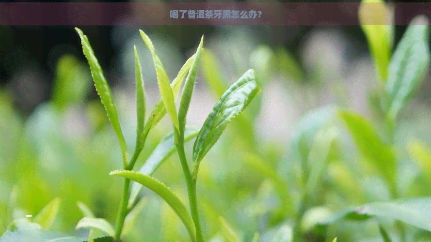 喝了普洱茶牙黑怎么办？