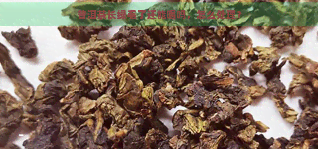 普洱茶长绿毛了还能喝吗，怎么处理？