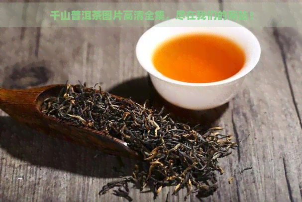 千山普洱茶图片高清全集，尽在我们的网站！