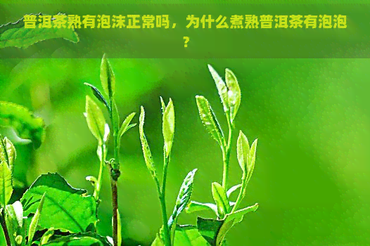 普洱茶熟有泡沫正常吗，为什么煮熟普洱茶有泡泡？