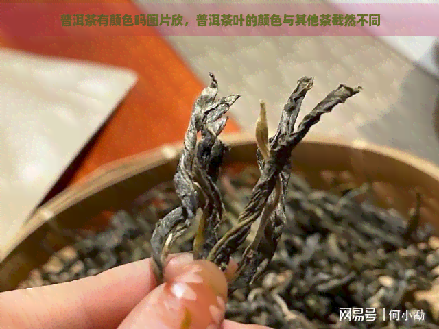 普洱茶有颜色吗图片欣，普洱茶叶的颜色与其他茶截然不同