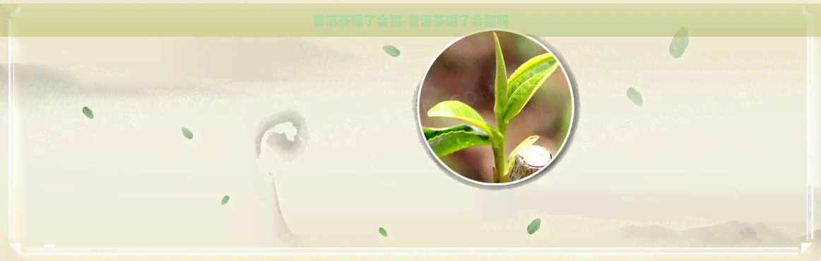 普洱茶喝了会甜-普洱茶喝了会甜吗