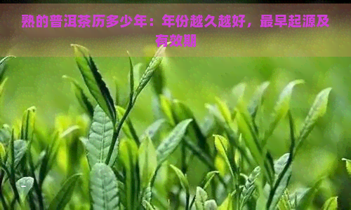 熟的普洱茶历多少年：年份越久越好，最早起源及有效期