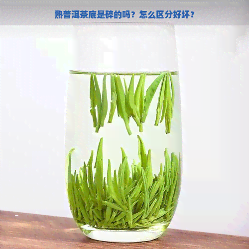 熟普洱茶底是碎的吗？怎么区分好坏？