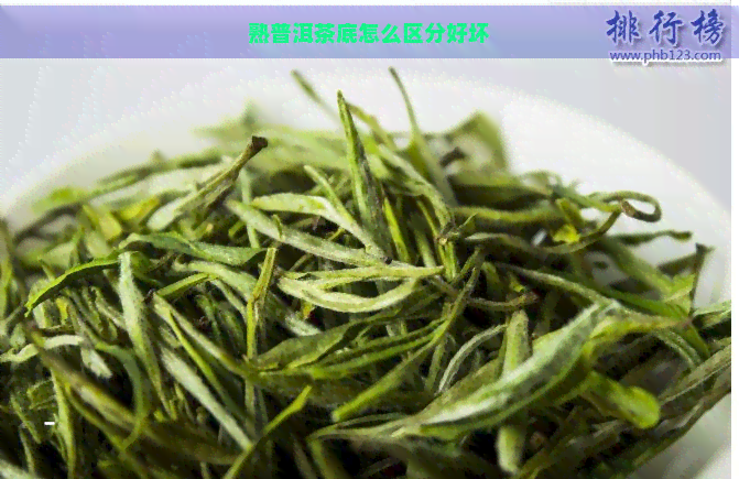 熟普洱茶底怎么区分好坏