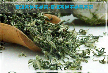 普洱茶是不是霉-普洱茶是不是霉茶呀