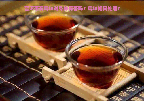 普洱茶有霉味对身体有害吗？霉味如何处理？