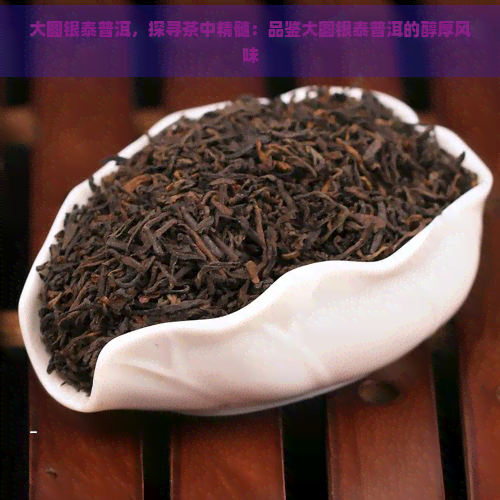 大圆银泰普洱，探寻茶中精髓：品鉴大圆银泰普洱的醇厚风味