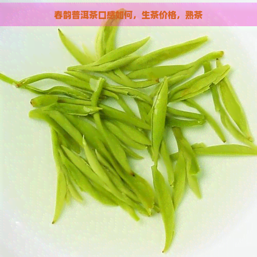 春韵普洱茶口感如何，生茶价格，熟茶