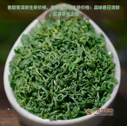 春韵普洱茶生茶价格，春韵普洱茶生茶价格：品味春日清新，探寻茶香之旅