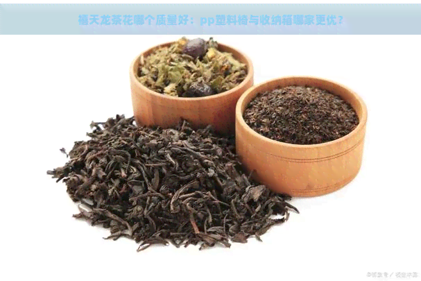 禧天龙茶花哪个质量好：pp塑料椅与收纳箱哪家更优？