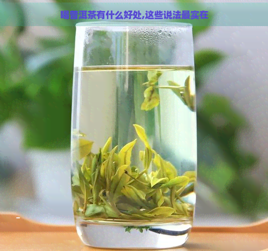 喝普洱茶有什么好处,这些说法最实在