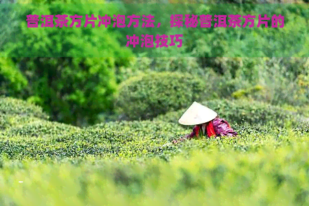 普洱茶方片冲泡方法，探秘普洱茶方片的冲泡技巧