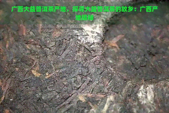 广西大益普洱茶产地，探寻大益普洱茶的故乡：广西产地揭秘