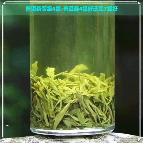 普洱茶等级4级-普洱茶4级好还是7级好