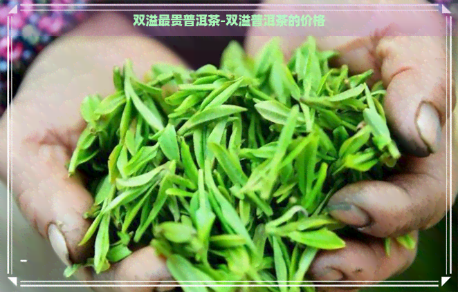 双溢最贵普洱茶-双溢普洱茶的价格