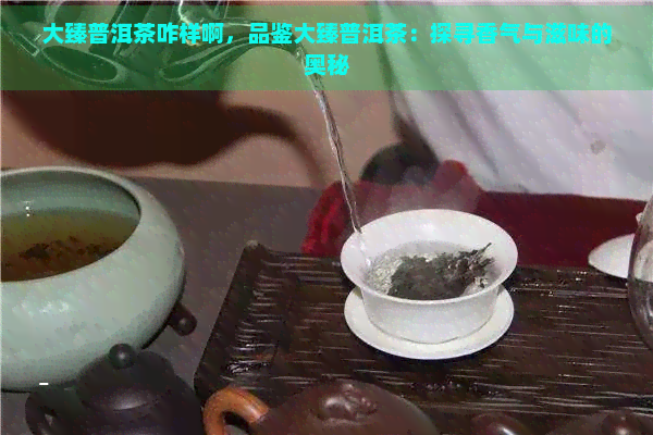 大臻普洱茶咋样啊，品鉴大臻普洱茶：探寻香气与滋味的奥秘