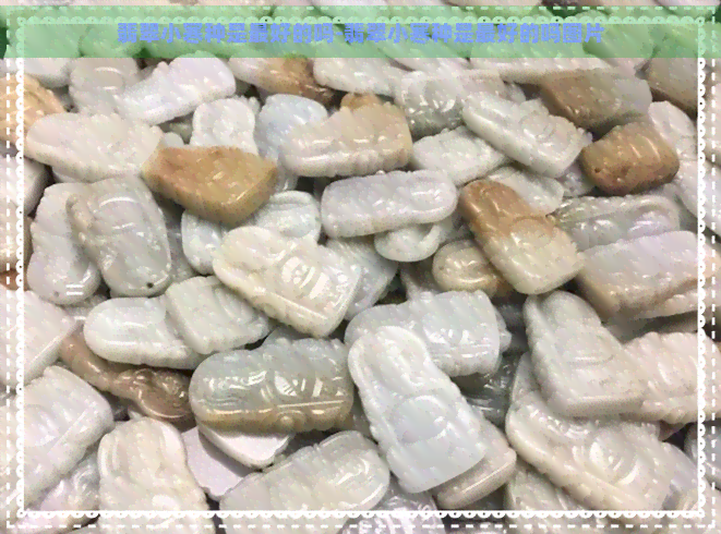 翡翠小寒种是更好的吗-翡翠小寒种是更好的吗图片