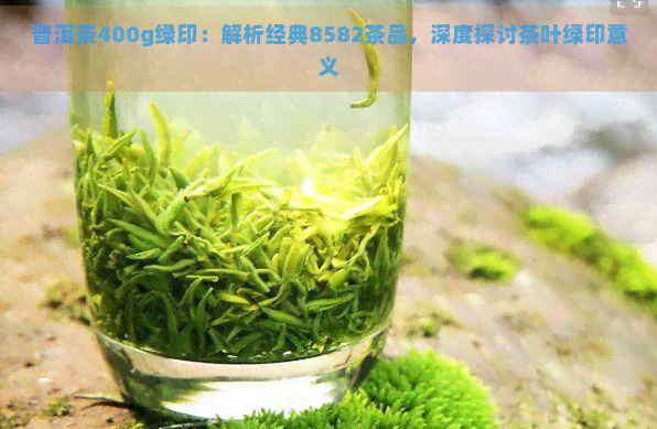 普洱茶400g绿印：解析经典8582茶品，深度探讨茶叶绿印意义