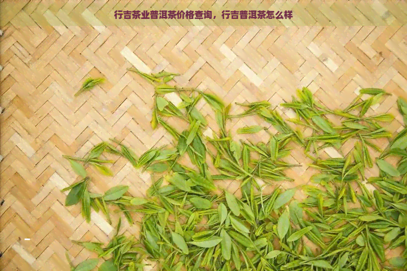 行吉茶业普洱茶价格查询，行吉普洱茶怎么样