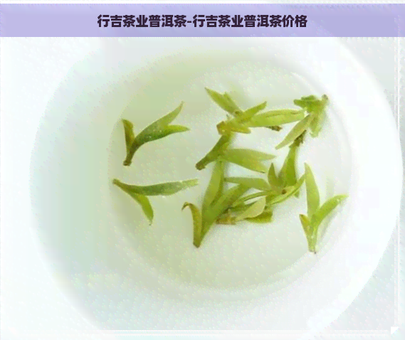 行吉茶业普洱茶-行吉茶业普洱茶价格