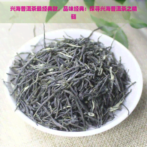 兴海普洱茶最经典款，品味经典：探寻兴海普洱茶之精髓