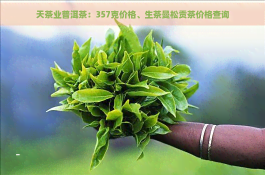 天茶业普洱茶：357克价格、生茶曼松贡茶价格查询