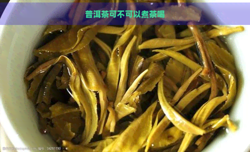 普洱茶可不可以煮茶喝