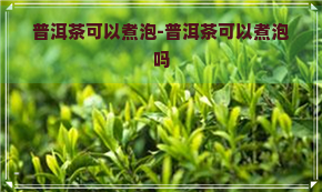 普洱茶可以煮泡-普洱茶可以煮泡吗