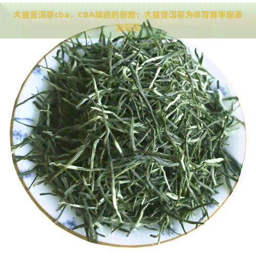 大益普洱茶cba，CBA球迷的新宠：大益普洱茶为体育赛事增添新风采