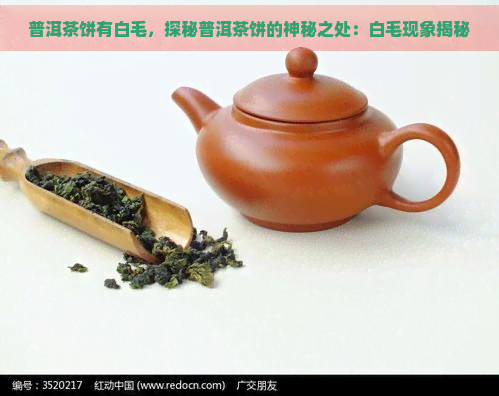 普洱茶饼有白毛，探秘普洱茶饼的神秘之处：白毛现象揭秘