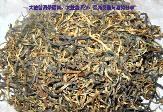 大益普洱茶最新，大益普洱茶：最新品鉴与趋势分享