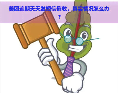 美团逾期天天发短信，真实情况怎么办？