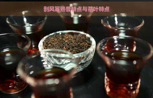 刮风寨熟普特点与茶叶特点