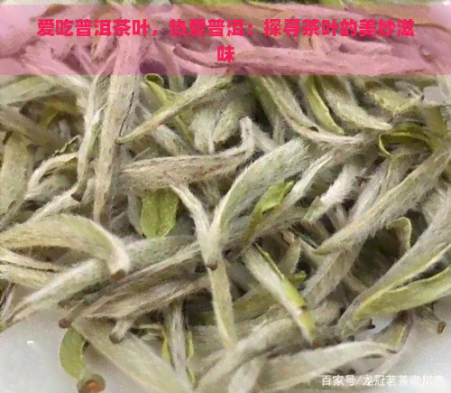 爱吃普洱茶叶，热爱普洱：探寻茶叶的美妙滋味