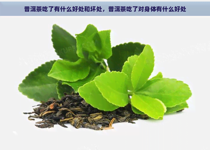 普洱茶吃了有什么好处和坏处，普洱茶吃了对身体有什么好处