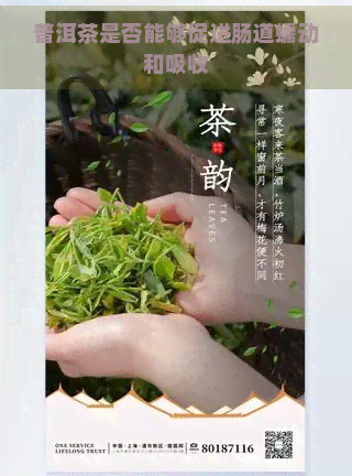 普洱茶是否能够促进肠道蠕动和吸收