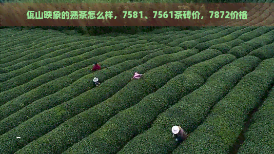 佤山映象的熟茶怎么样，7581、7561茶砖价，7872价格