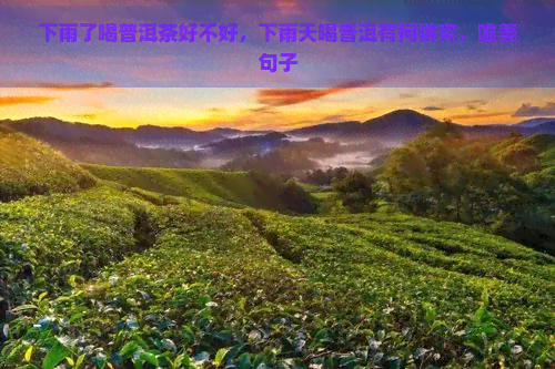 下雨了喝普洱茶好不好，下雨天喝普洱有何讲究，唯美句子