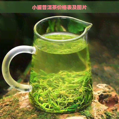 小罐普洱茶价格表及图片