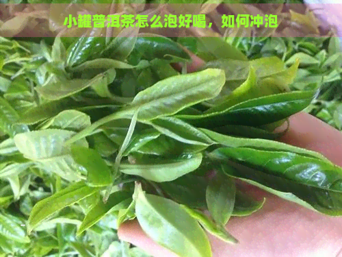 小罐普洱茶怎么泡好喝，如何冲泡