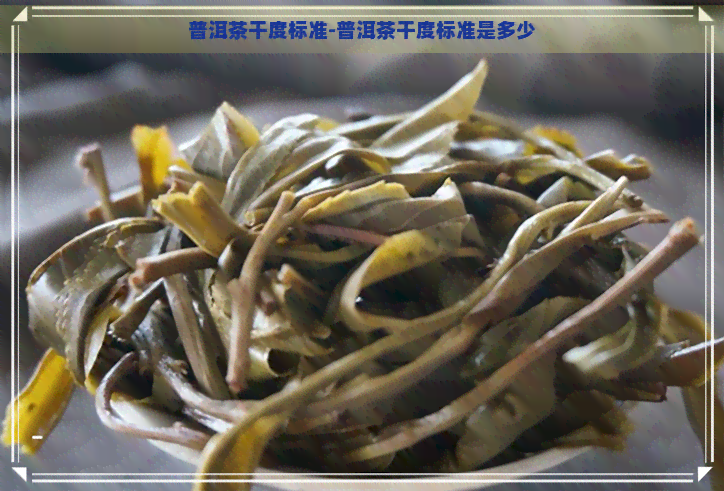 普洱茶干度标准-普洱茶干度标准是多少