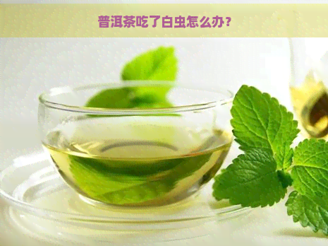 普洱茶吃了白虫怎么办？