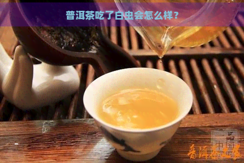 普洱茶吃了白虫会怎么样？