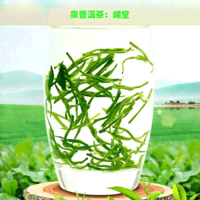 泉普洱茶：崤堂